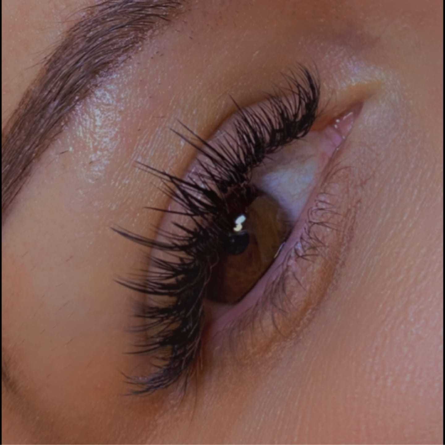 Close-up of a brown eye with long, thick eyelashes and well-groomed eyebrow.